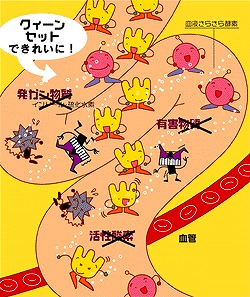 クィーンセットできれいに