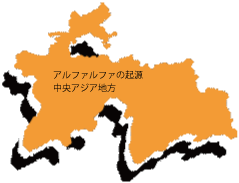 中央アジア地方