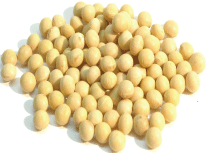 大豆アミノ酸