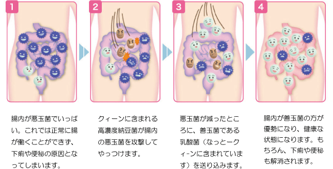 腸内環境改善